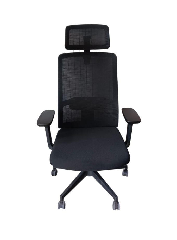 Black Mesh Ergonomic Office Chair with Adjustable Headrest